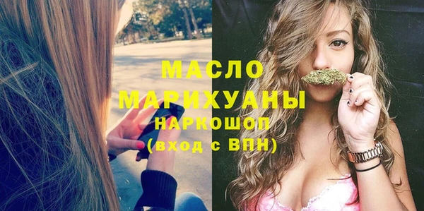 тгк Михайлов