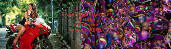 прущая мука Апатиты