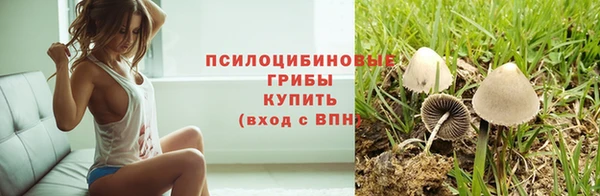 тгк Михайлов
