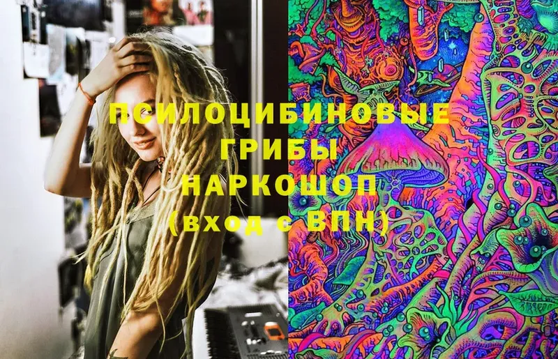 omg вход  Яровое  Псилоцибиновые грибы Magic Shrooms  где купить наркоту 