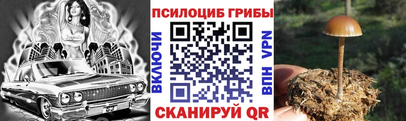 Галлюциногенные грибы Psilocybe  нарко площадка как зайти  Яровое 